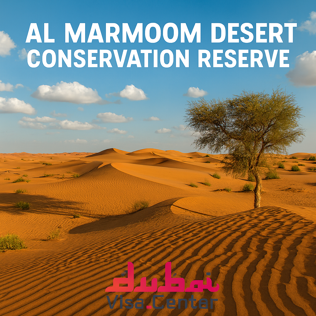 Al Marmoom Desert Conservation Reserve 2026 - Al Qudra Lakes, Cycling, Camel Racing | Dubai Visa Center