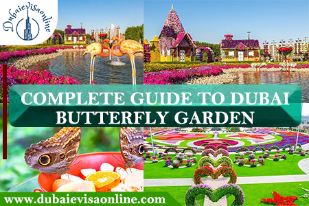 Dubai Butterfly Garden Tickets, Timings & Location 2026 | Dubai E Visa Online