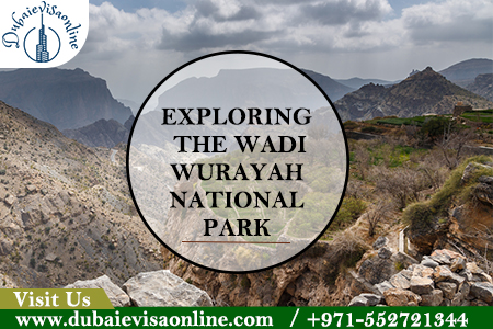 Wadi Wurayah National Park - Day Trip From Dubai | Ultimate 2026 Guide