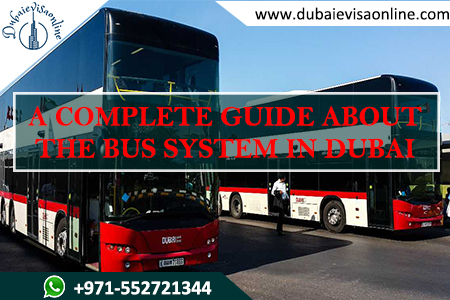Dubai Bus System Guide - Routes, Nol Card, Fares & Travel Rules