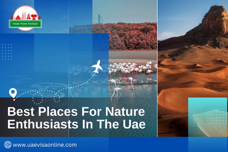 7 Amazing Places To Visit In Uae In 2024