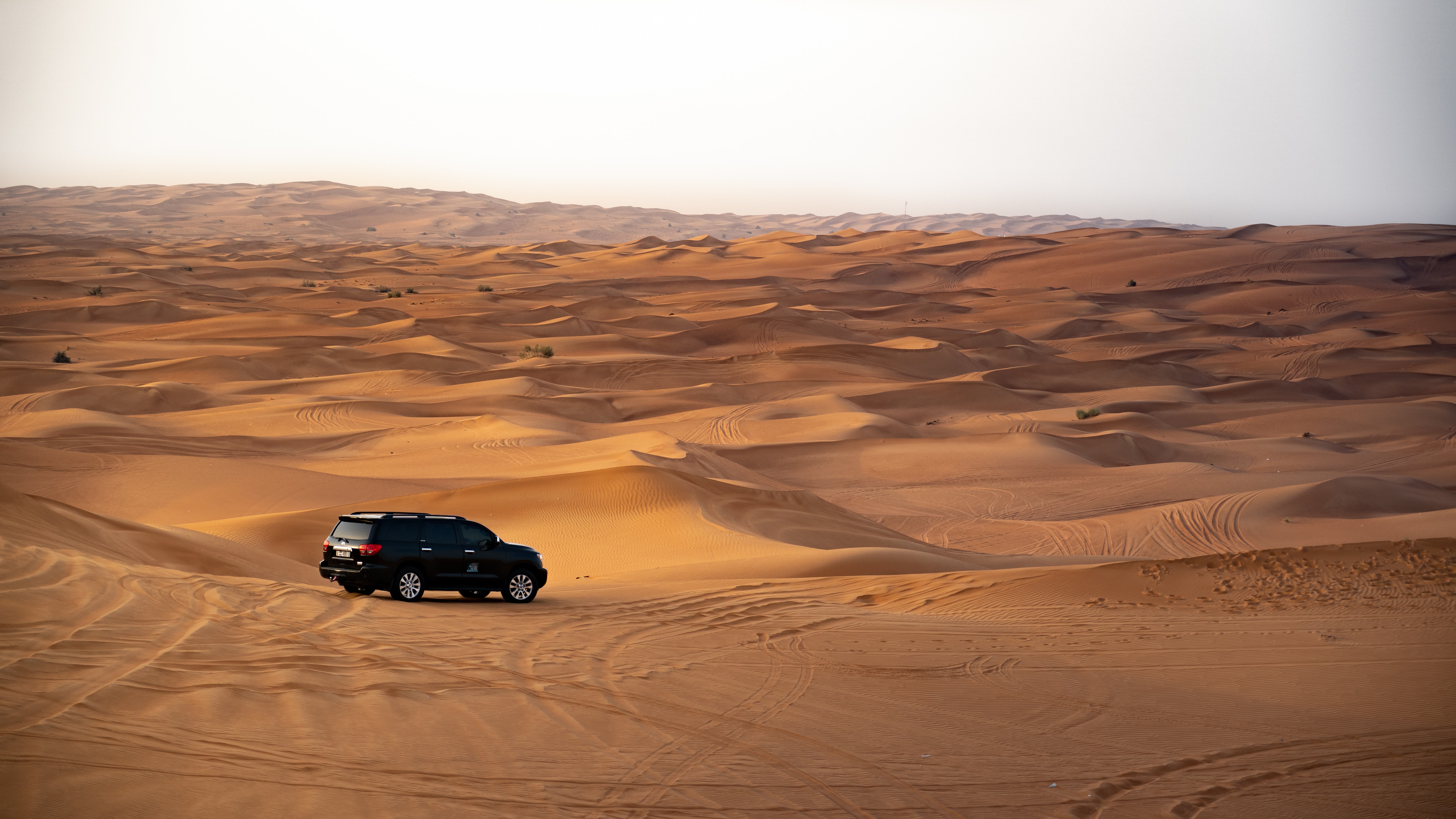 Dubai Desert Safari 2026 | Morning, Evening, Overnight Tours, Prices & Tips