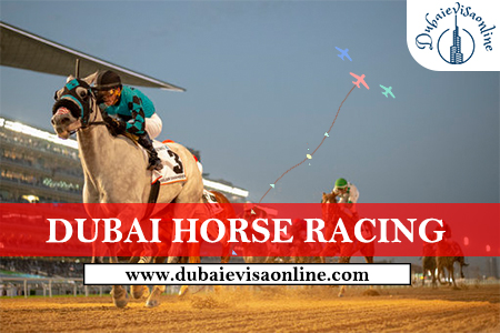 Dubai Horse Racing & Dubai World Cup At Meydan | Visitor Guide