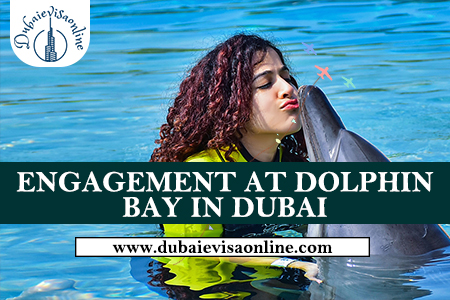 Dolphin Bay Dubai 2026 - Swim With Dolphins At Atlantis The Palm