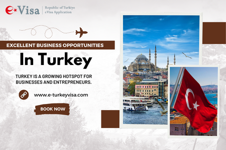 Excellent Business Opportunities in Turkey