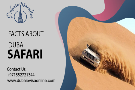Dubai Desert Safari Guide | Morning & Evening Safari Experiences