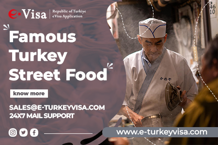 Famous Turkey Street Food