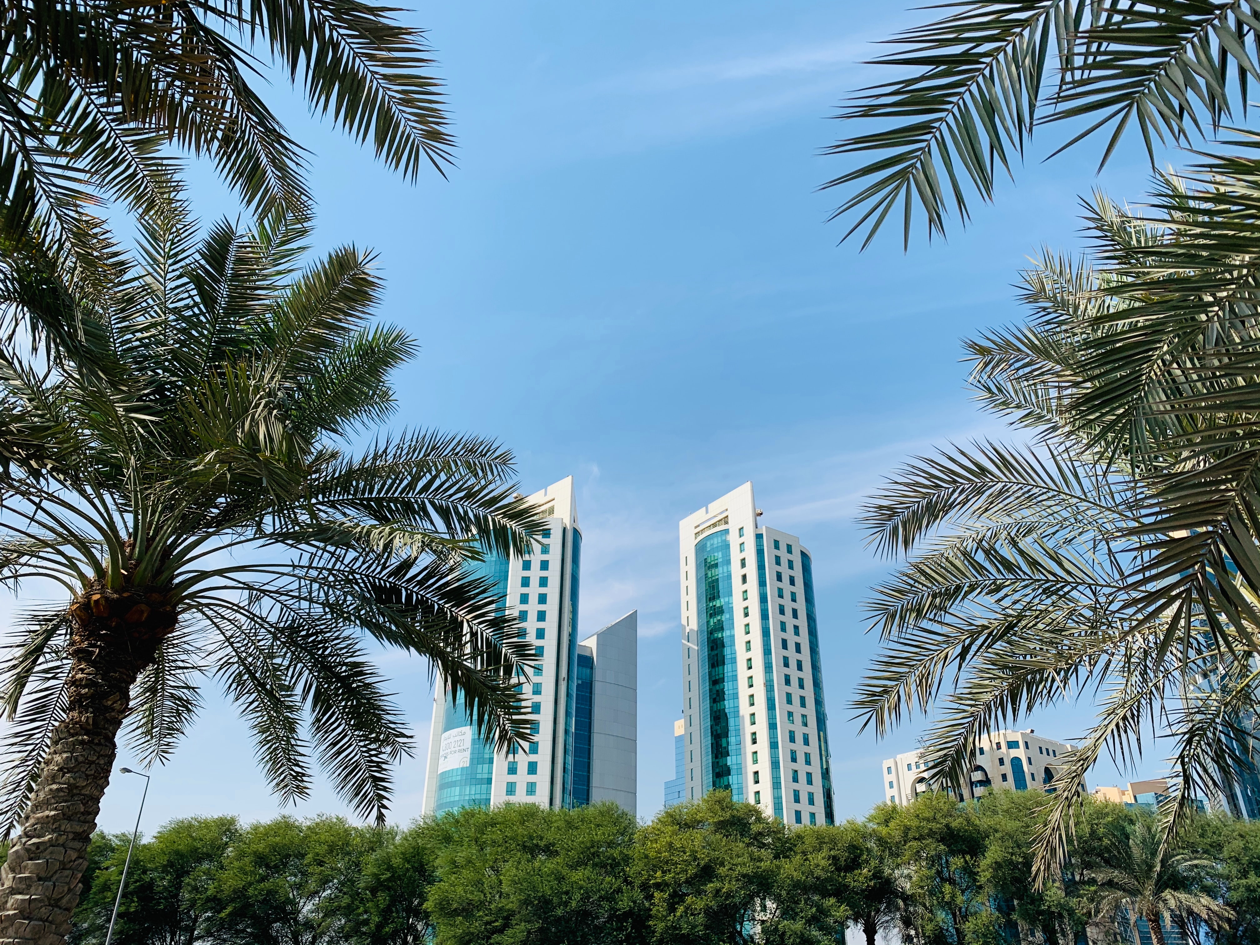 How To Apply Qatar Visa For Cameroon Nationals Online