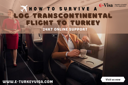 How to Survive a Log Transcontinental Flight to Turkey