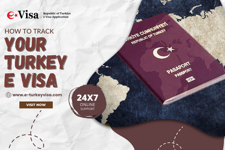 How to Track Your Turkey E Visa
