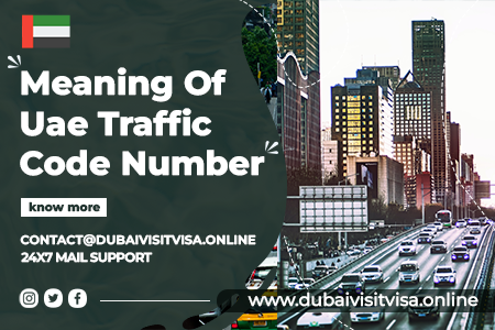 UAE Traffic File Number TFN 2026: What It Is, Where to Find It & How to Get One