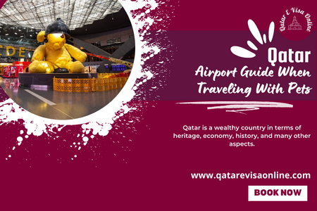 Qatar Airport Guide When Traveling With Pets