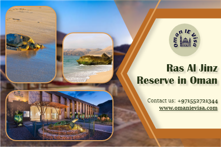Ras Al Jinz Turtle Reserve Oman 2026 - Tours, Timings & Best Time To Visit