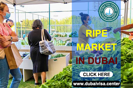 Ripe Market Dubai 2026 | Timings, Location, Activities & Food Guide