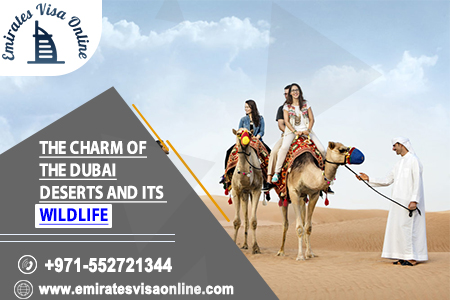 Dubai Desert Wildlife & Safari Guide 2026 - Explore Dubais Nature & Culture