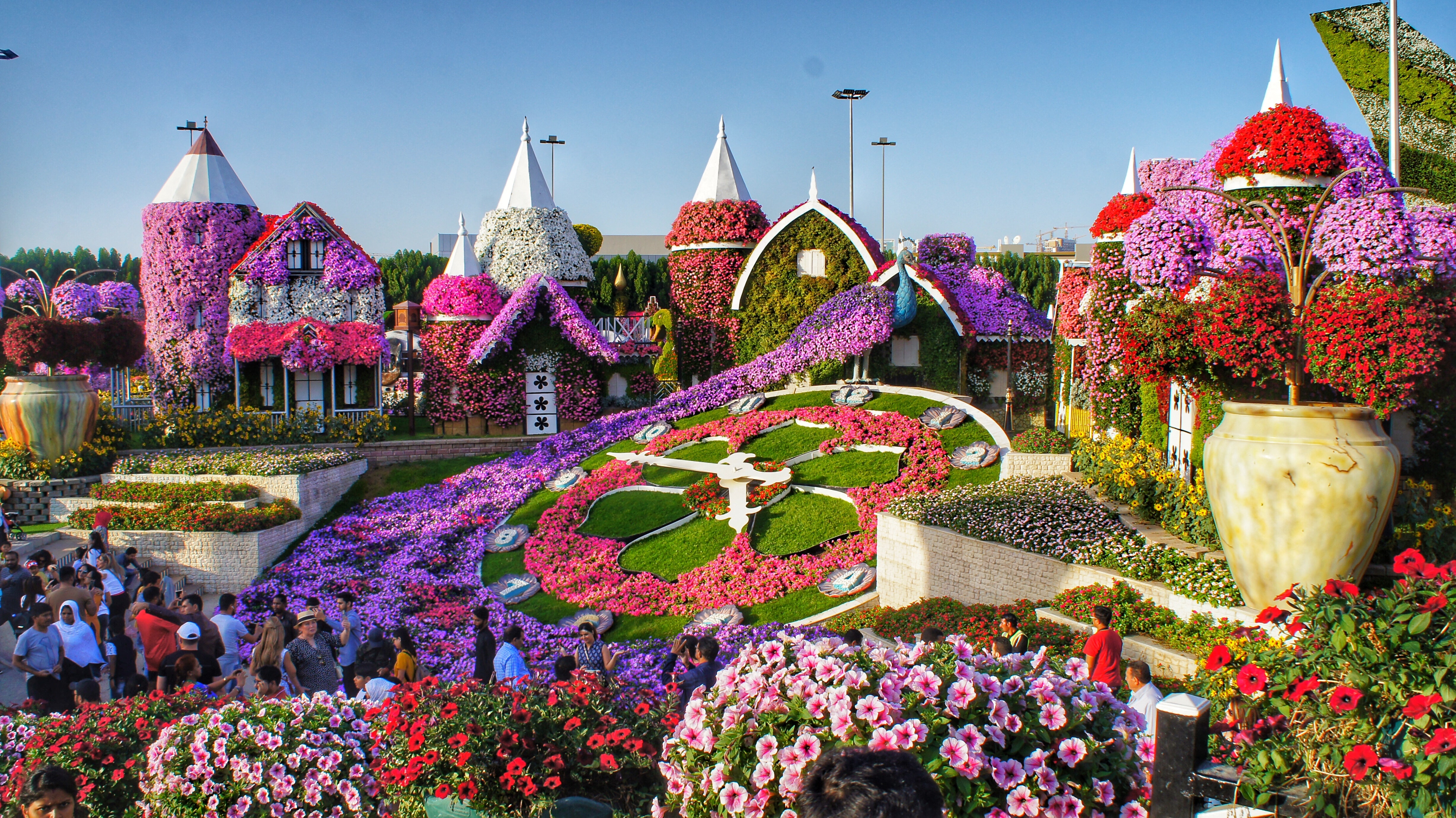 Dubai Miracle Garden 2026 | Tickets, Timings, Attractions, Butterfly Garden & Visa