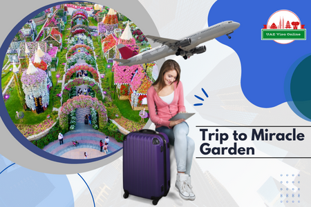 Explore Dubai Miracle Garden: Your Ultimate Guide In 2024