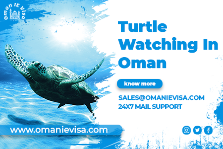 Turtle Watching In Oman 2026 - Best Time, Places & Visa Guide