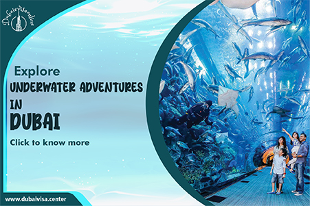 Underwater Adventures & Water Sports in Dubai 2026 | Dubai Visa Center