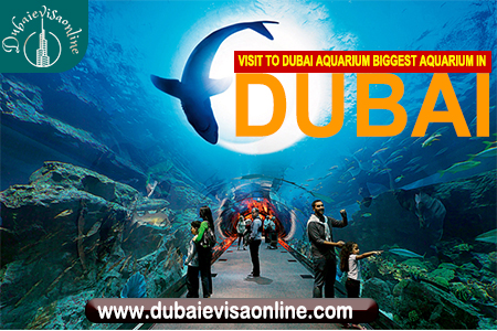 Dubai Aquarium & Underwater Zoo Guide | Tickets, Activities & Visitor Tips