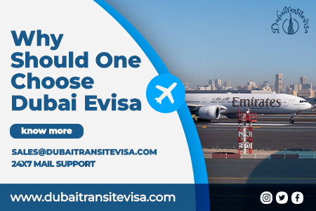 Dubai E-visa 2026 | Apply Online, Requirements, Fees & Status Guide