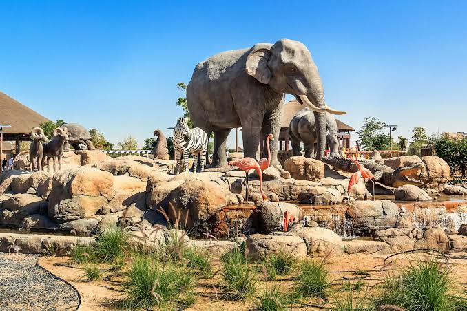 Dubai Safari Park photo 3