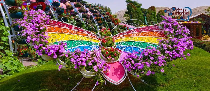 Dubai Butterfly Garden photo 2
