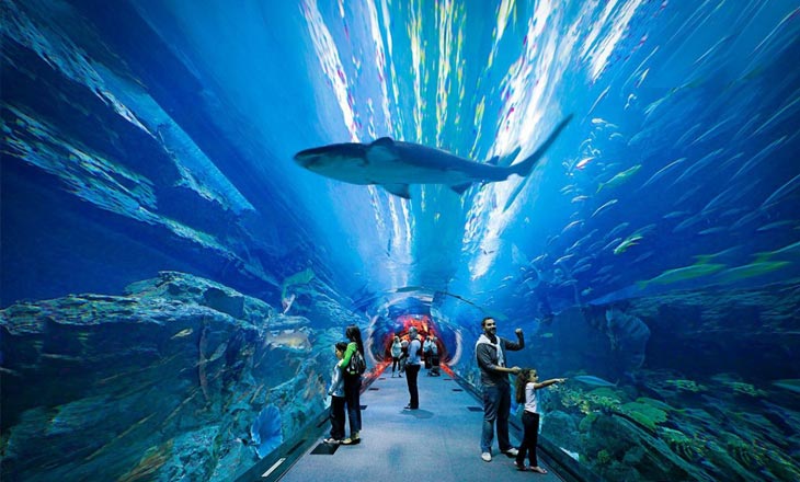 The Lost World Aquarium, Atlantis The Palm photo 2