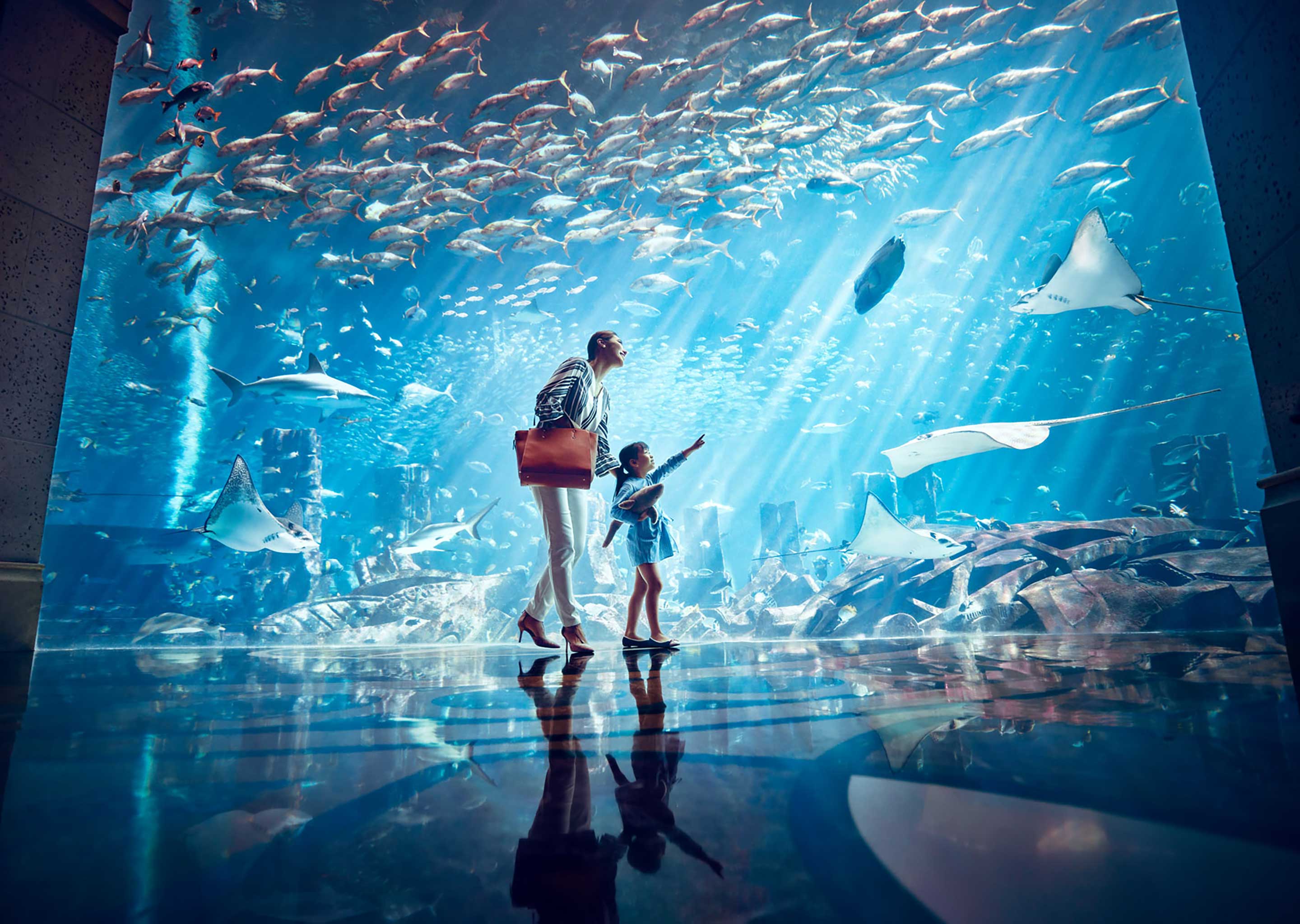The Lost World Aquarium, Atlantis The Palm