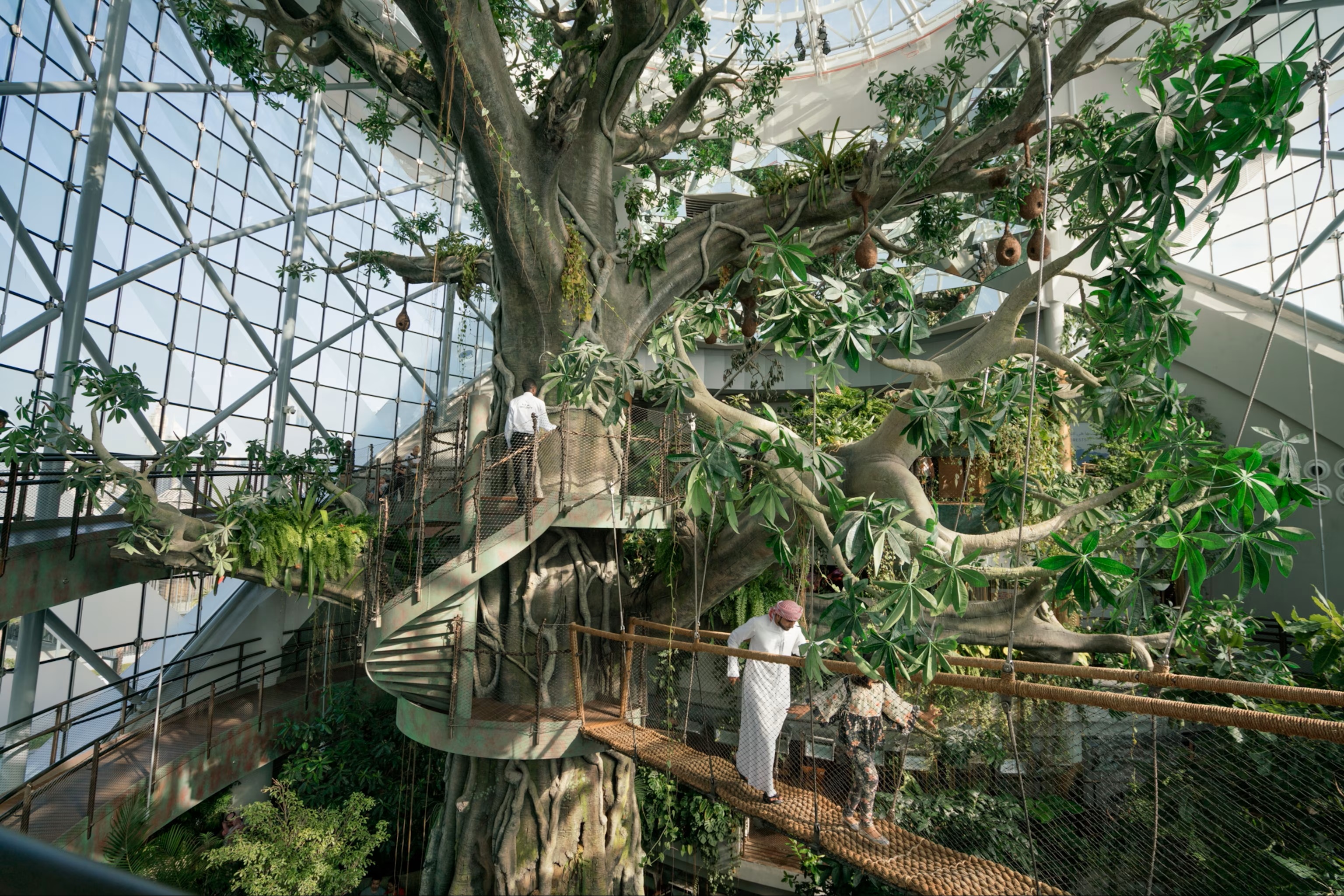 The Green Planet Dubai photo 2