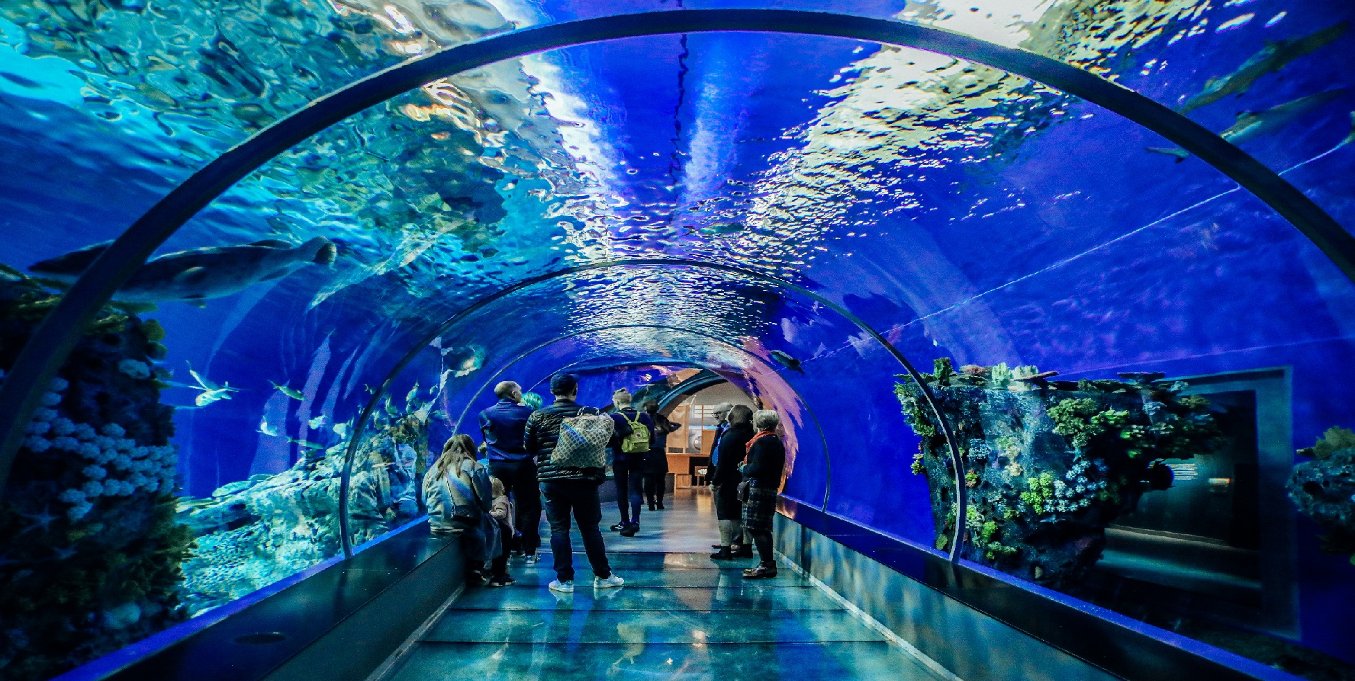 Aquarium & Underwater Zoo photo 2